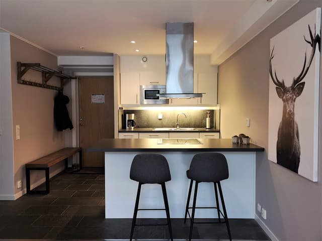 Central apartment in Åre near the village square and Bergbanan, close to ski area with parking and ski storage