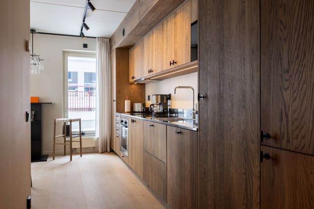 Two-room ski apartment with sauna and ski storage in mountain resort