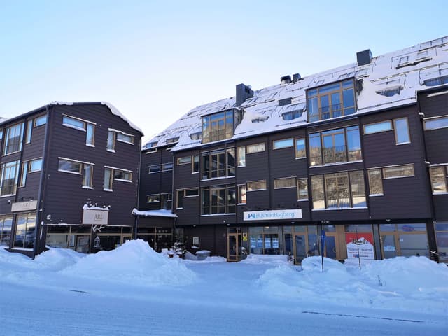 Central apartment in Åre near the village square and Bergbanan, close to ski area with parking and ski storage