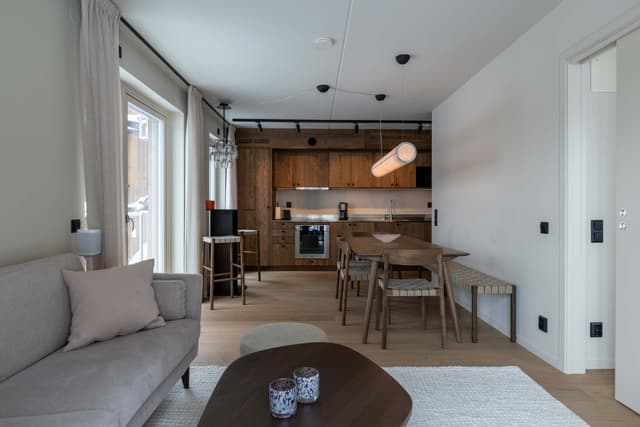 Two-room ski apartment with sauna and ski storage in mountain resort