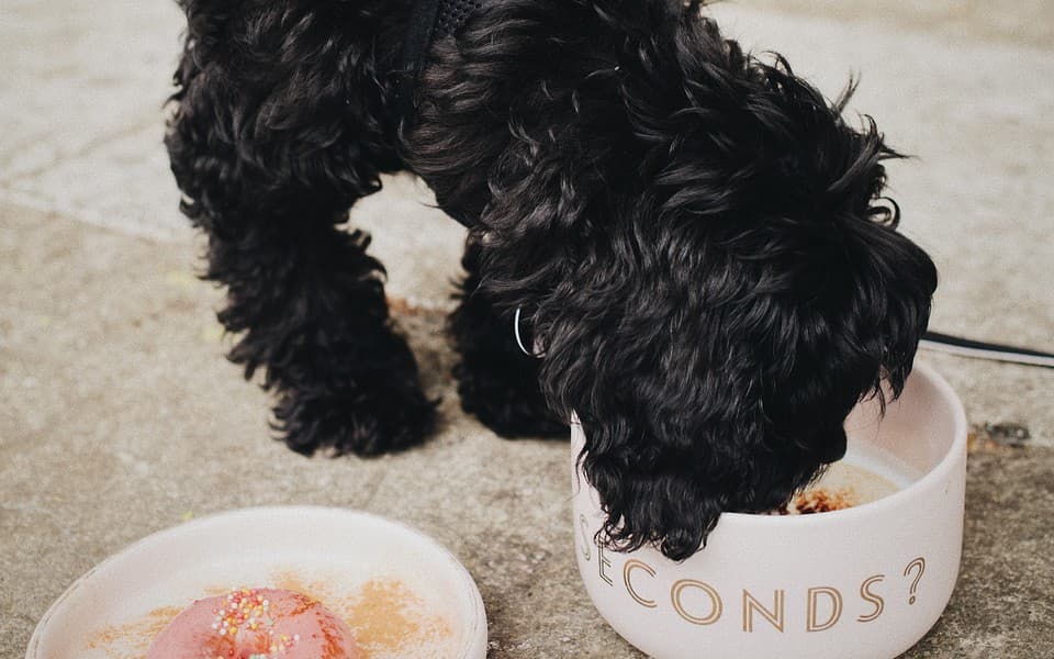 Välj tilläggstjänster för din vistelse