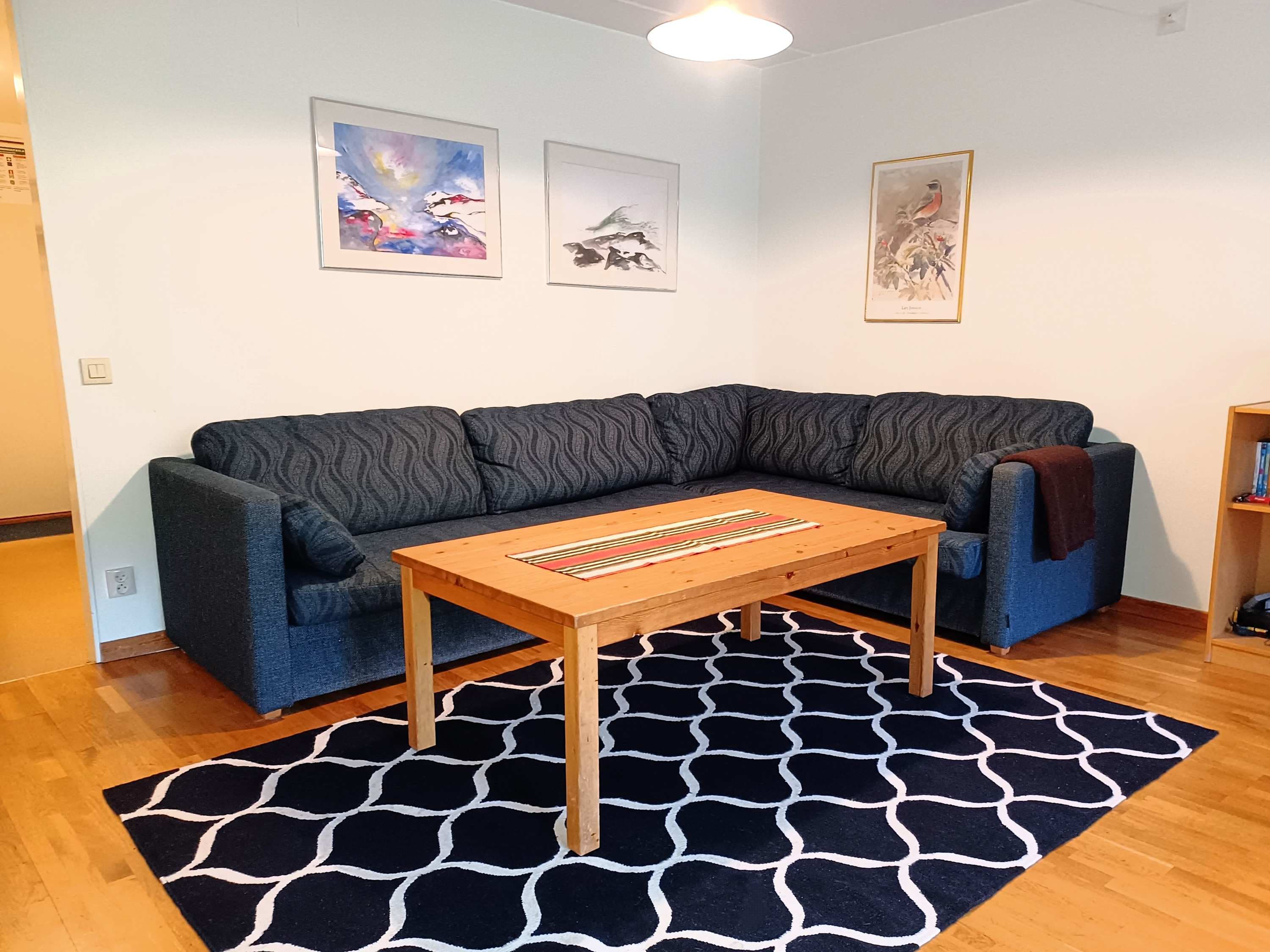Central Åre apartment by the square near ski lifts, with sauna, balcony and ski storage